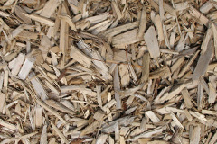 biomass boilers Ardintoul